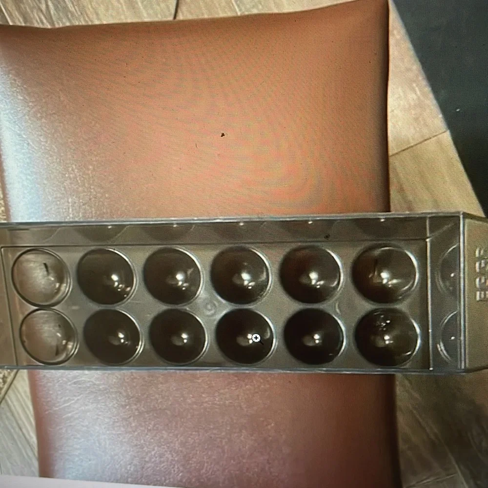 Refrigerator Egg Storage Container holds 12 eggs
